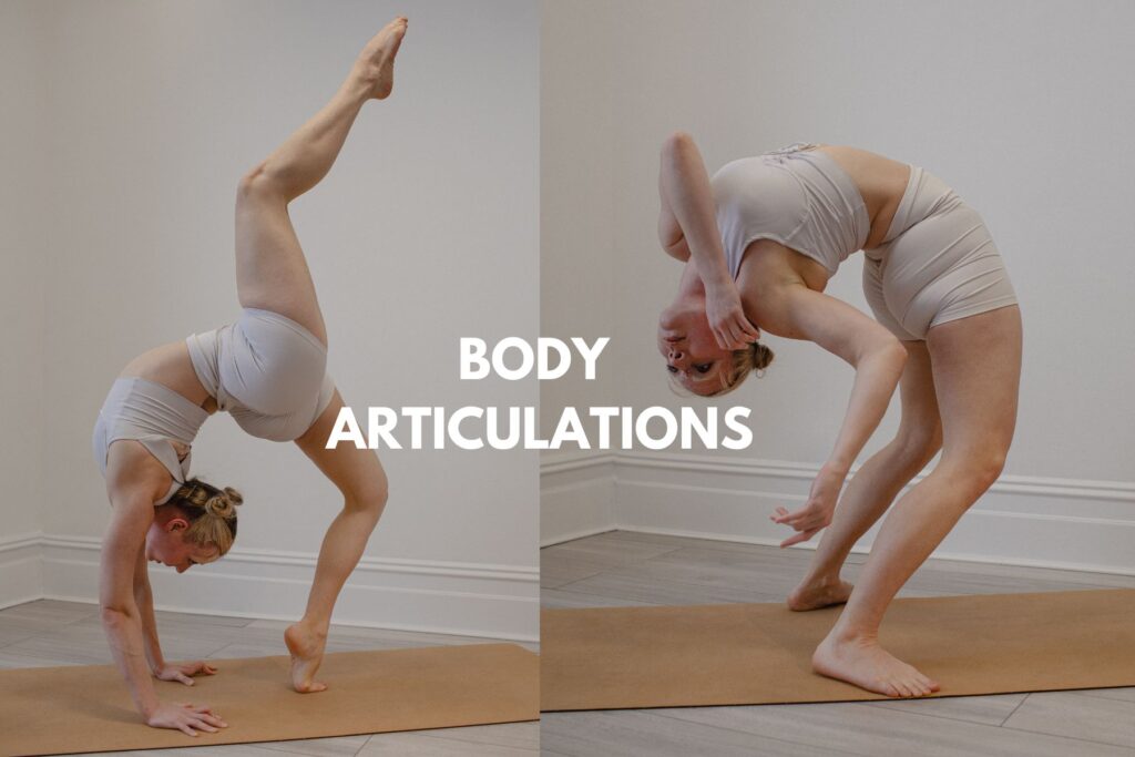 body articulations workshop